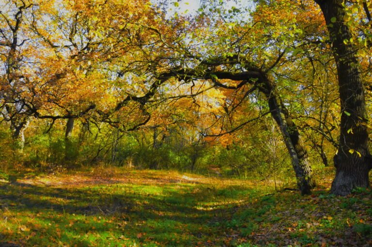 листопад какой месяц